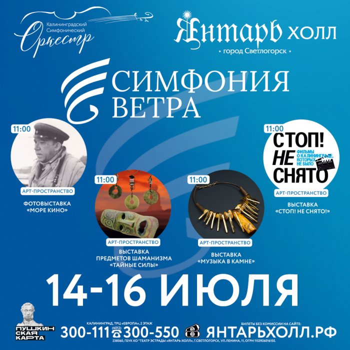 C 14 по 16 июля в Светлогорске пройдет Фестиваль «Симфония ветра».