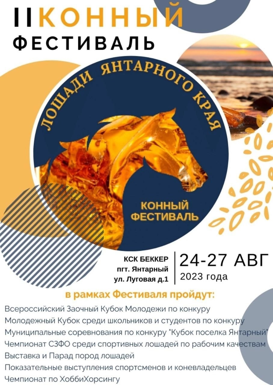 В Янтарном 25-27 августа пройдёт II конный фестиваль «Лошади Янтарного края»