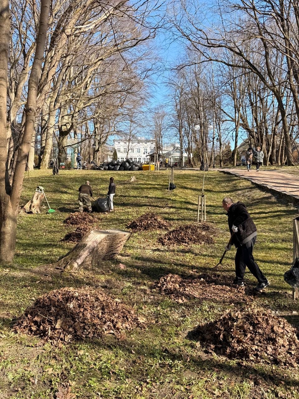 Сегодня в парке имени М. Беккера прошли работы по уборке листвы.