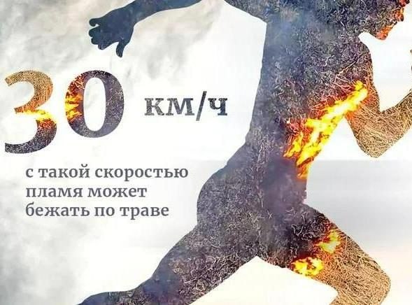 Важная информация о сбережении лесных ресурсов и недопущения выжигания сухой растительности.