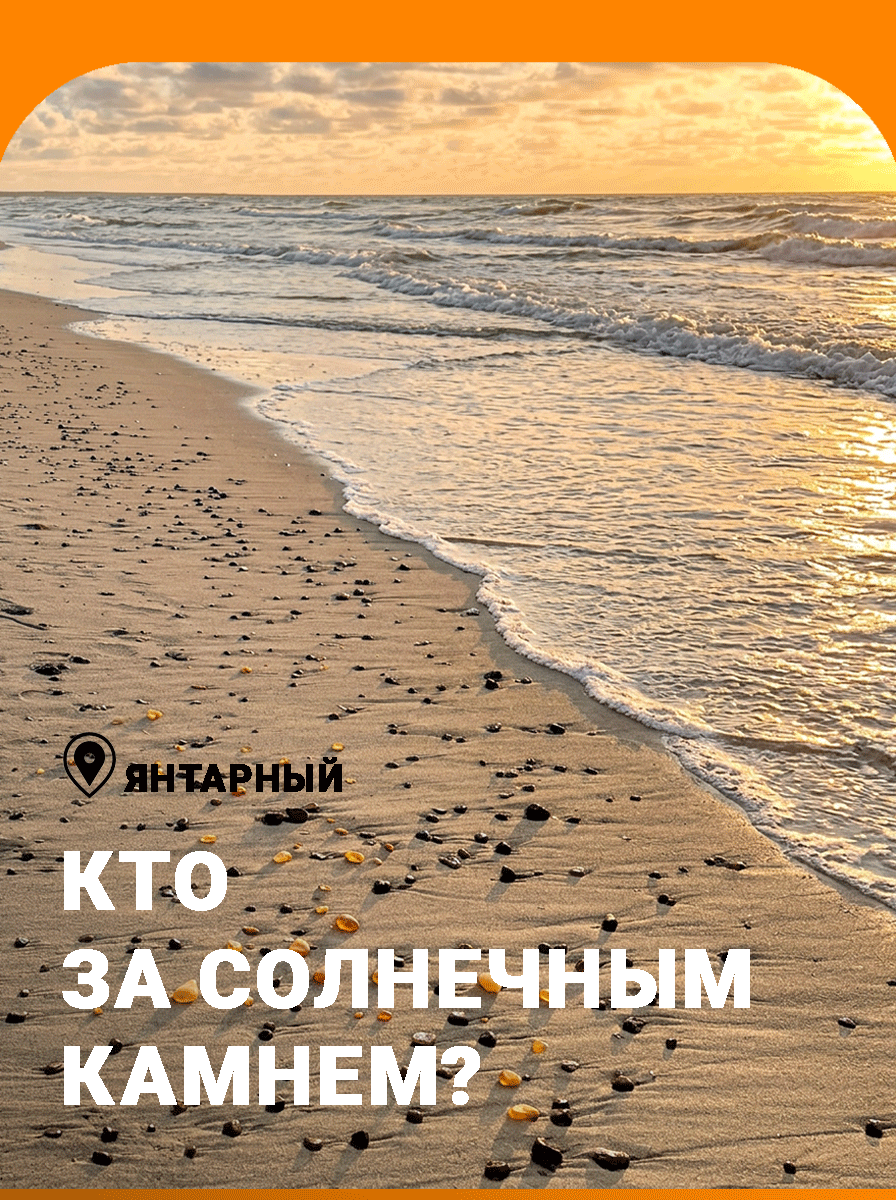 Кто — к кораблю, а кто — за солнечным камнем! Кто — к кораблю, а кто — за солнечным камнем!