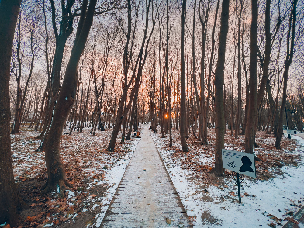 Утренний зимний парк им. М. Беккера