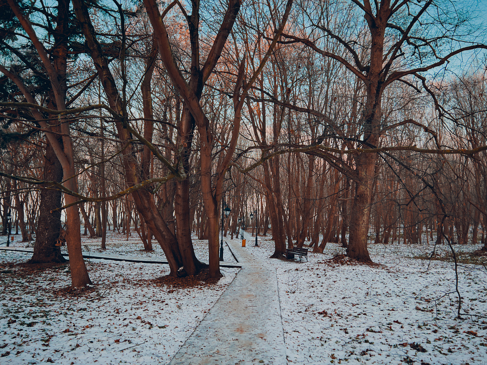 Утренний зимний парк им. М. Беккера