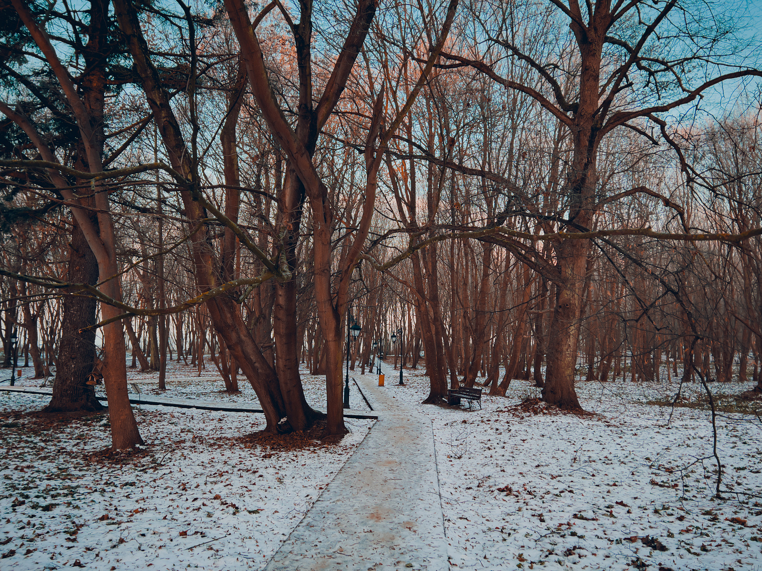 Морозное зимнее утро в Янтарном городском округе. Немного фотографий прогулки по городу.