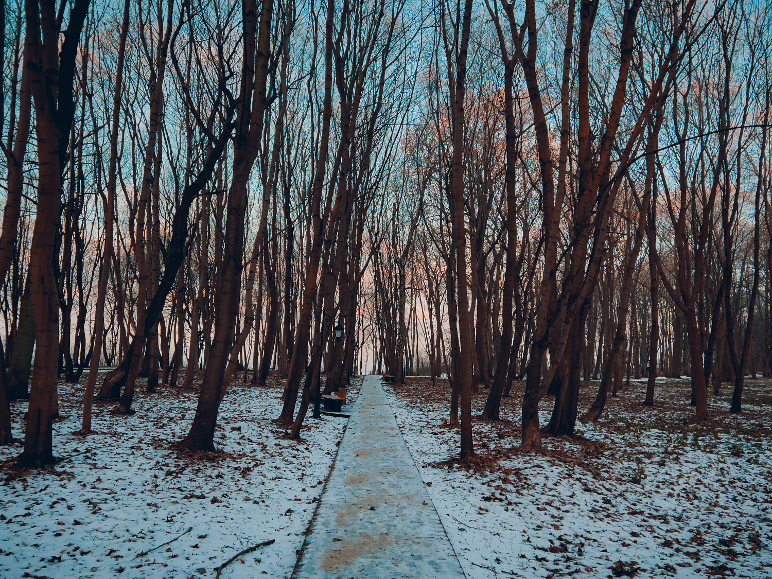 Морозное зимнее утро в Янтарном городском округе. Немного фотографий прогулки по городу.