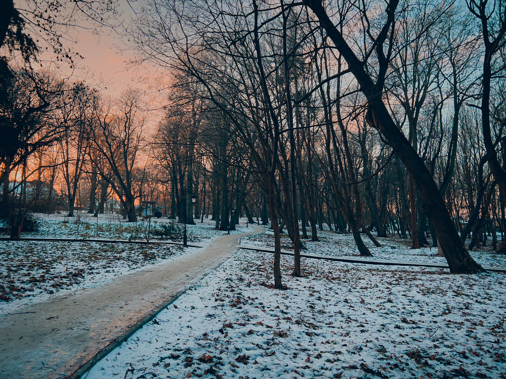 Утренний зимний парк им. М. Беккера